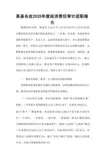 某县长在2025年度经济责任审计述职报告