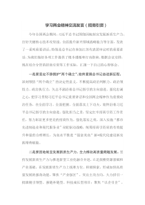 学习两会精神交流发言招商引资