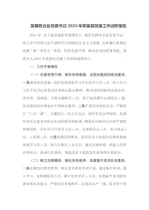 某国有企业党委书记2024年抓基层党建工作述职报告