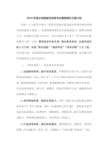 2024年某公司基层党支部书记素质提升工程计划
