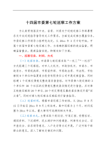 方案意见十四届市委第七轮巡察工作方案