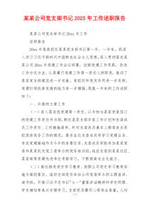 某某公司党支部书记2025年工作述职报告