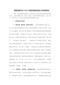 某镇党委书记2024年度抓基层党建工作述职报告