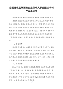 全面深化县属国有企业劳动人事分配三项制度改革方案