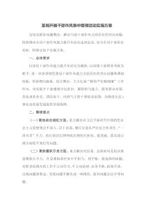 某局开展干部作风集中整顿活动实施方案