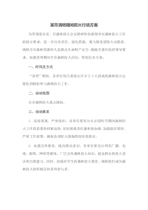 某市清明期间防火行动方案