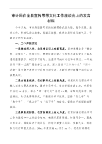 审计局在全县宣传思想文化工作座谈会上的含存在的问题和整改措施