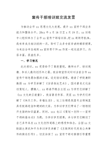 宣传干部培训班交流发言