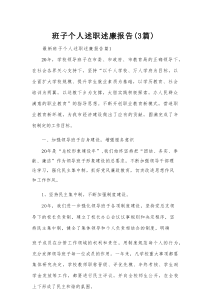 班子个人述职述廉报告（3篇）