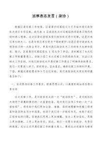 巡察表态发言政协