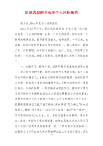 组织选派副乡长度个人述职报告