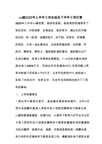 xx镇2025年上半年工作总结及下半年工作打算