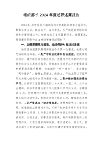 组织部长2024年度述职述廉报告