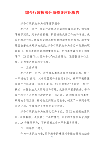 综合行政执法分局领导述职报告
