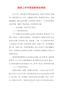 综治工作年度述职报告财政