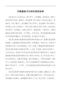 市委副秘书长现实表现材料