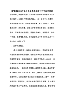 城管局2025年上半年工作总结和下半年工作计划