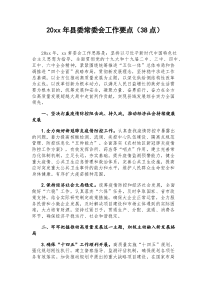 20XX年县委常委会工作要点38点