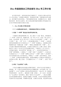 20XX年县政务办工作总结与20XX年工作计划