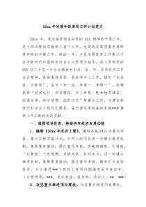 20XX年发展和改革局工作计划