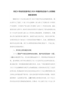 市红十字会党支部书记2024年组织生活会个人对照检查