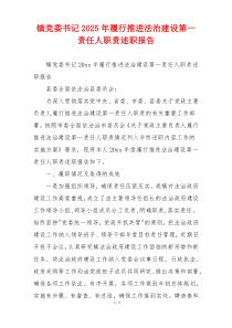 镇党委书记2025年履行推进法治建设第一责任人职责述职报告