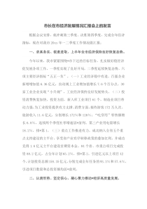 市长在市经济发展情况汇报会上的发言