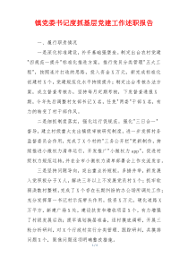 镇党委书记度抓基层党建工作述职报告