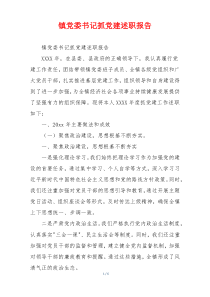 镇党委书记抓党建述职报告