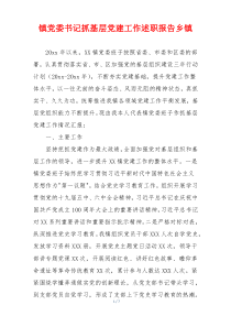 镇党委书记抓基层党建工作述职报告乡镇