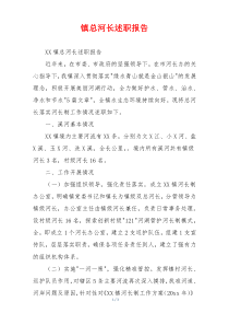 镇总河长述职报告