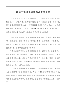 年轻干部培训经验亮点交流发言