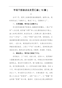 年轻干部座谈会发言汇编