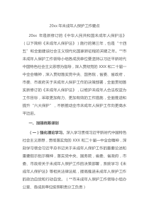 20XX年未成年人保护工作要点