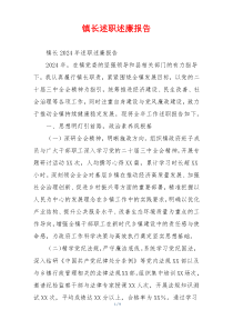 镇长述职述廉报告