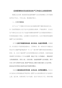 应急管理局长在全区安全生产工作会议上的