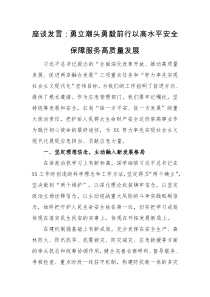 座谈发言：勇立潮头勇毅前行以高水平安全保障服务高质量发展