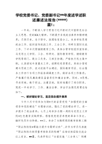 高校学校党委书记、党委副书记2022年度述学述职述廉述法报告2篇