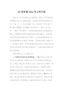 XX党支部20XX年工作计划