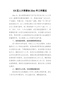 XX区人大常委会20XX年工作要点