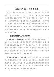X区人大20XX年工作要点