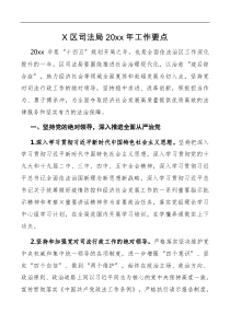 X区司法局20XX年工作要点