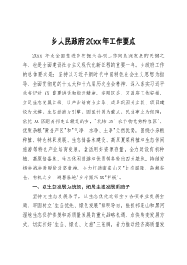 乡人民政府20XX年工作要点
