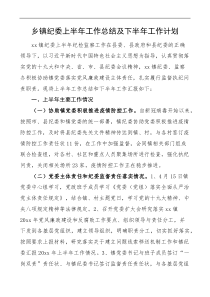 乡镇纪委上半年工作总结及下半年工作计划