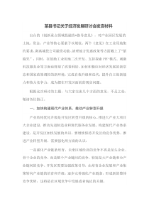 某县书记关于经济发展研讨会