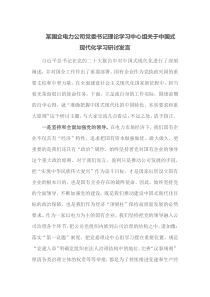 某国企电力公司党委书记理论学习中心组关于中国式现代化学习研讨发言
