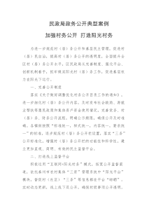 民政局政务公开典型案例