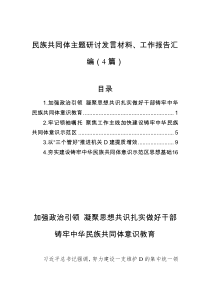 民族共同体主题研讨工作报告汇编4篇