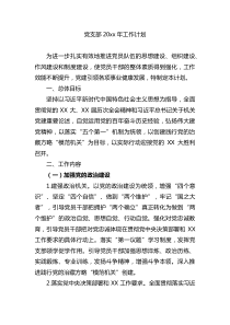 党支部20XX年工作计划