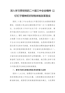 深入学习贯彻党的二十届三中全会精神以钉钉子精神抓好财税体制改革落实